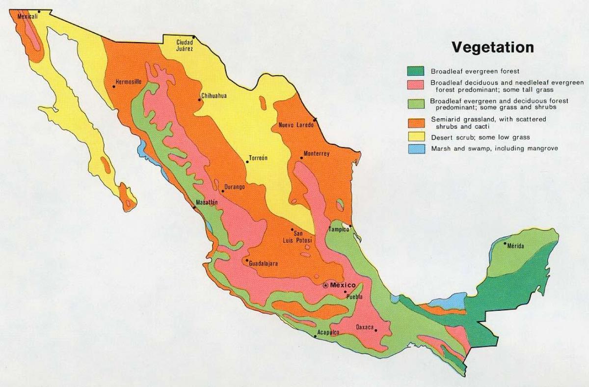 karta över Mexiko fysiska resurser